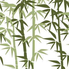 Bamboo illustration. Design for prints, asian spa and massage, cosmetics package, materials.