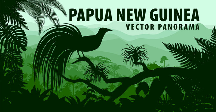 vector panorama of Papua New Guinea with lesser bird of paradise