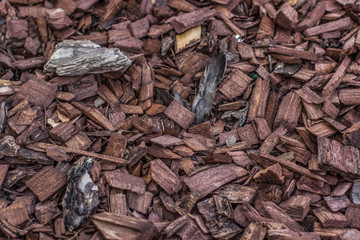 sawdust background texture concept with empty space for copy or text