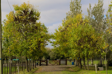 Naklejka premium Entrada con tranquera de granja