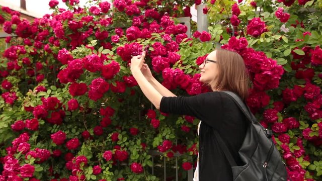 A portrait of Caucasian woman with taking selfie in a rose garden.