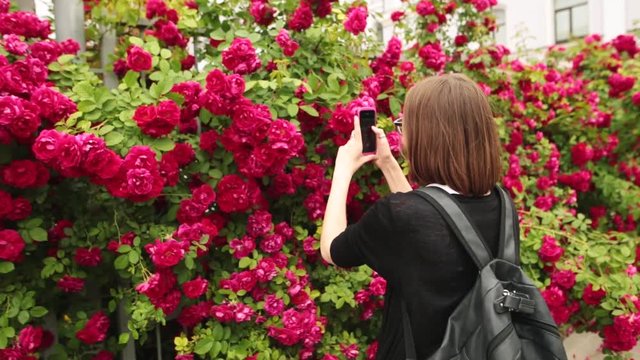 Young Caucasian women in glasses taking picture of red rose.