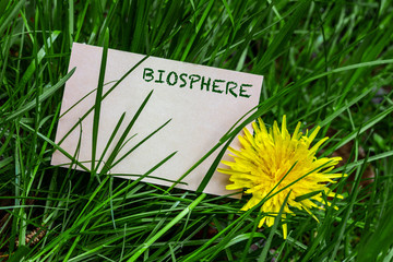 Biosphere