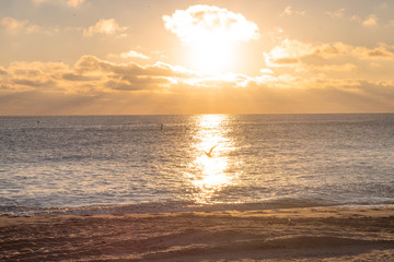 Fototapeta premium Sun & birds