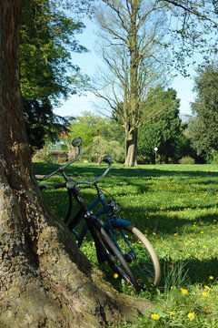 Geparkte Fahrr&auml;der