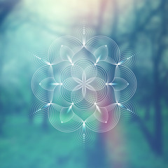 Template of banner for web and social media, square format; Spiritual sacred geometry; Yantra, chakra or lotus on psychedelic blurred background; Yoga, meditation and relax.