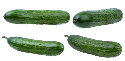 Fresh cucumber isolated on white background with clipping path