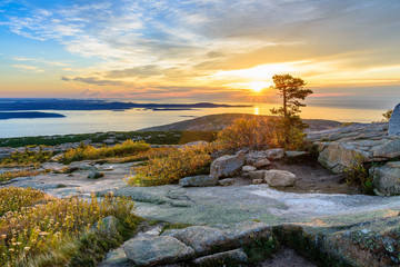 Sunrise at Cadillac Mountain - Powered by Adobe