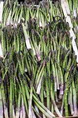 Asperges sur le marché