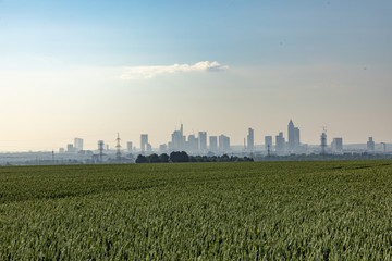 skyline of Frankfurt in foggy sunset