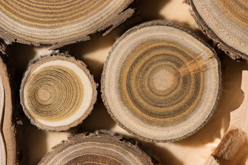 Sandalwood core macro