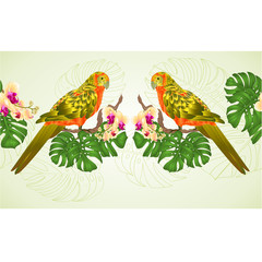 Floral border seamless background  Sun Conure Parrot tropical exotic bird   with beautiful yellow orchid and philodendron vector illustration editable hand draw