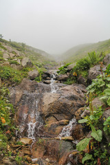 Little waterfall in mountain forest with silky foaming water and wet stones
