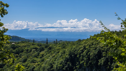 Zeda-gordi, Georgia. Forest of Okatse canion.Georgia