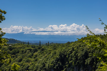 Zeda-gordi, Georgia. Forest of Okatse canion.Georgia
