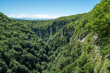 Zeda-gordi, Georgia. Forest of Okatse canion.Georgia