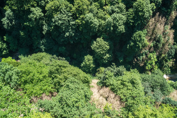 Zeda-gordi, Georgia. Forest of Okatse canion.Georgia