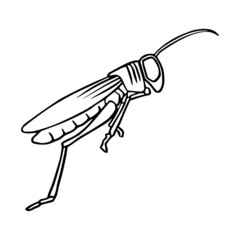 Grasshopper cartoon illustration isolated on white background for children color book