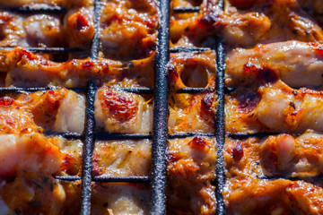 Grilled chicken in the garden. Barbeque.