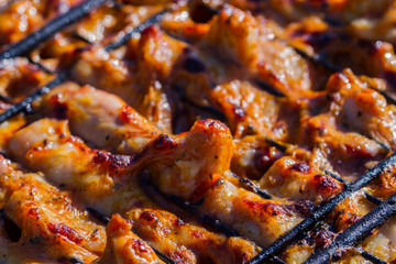 Grilled chicken in the garden. Barbeque.