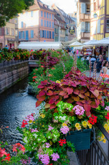 Flowers of Colmar old town city center, France