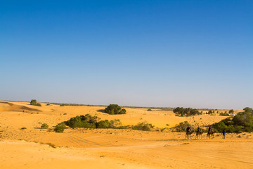 Fototapeta na wymiar désert africain