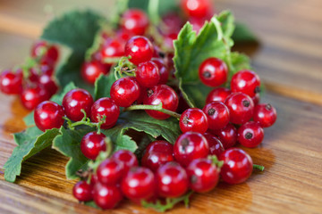 Red currant berries on leaves