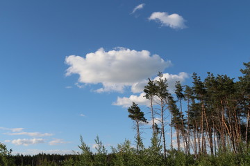 White cloud in the sky