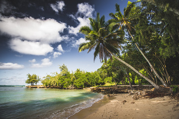 Traumhafter Strand auf Oahu, Hawaii