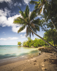 Traumhafter Strand auf Oahu, Hawaii