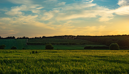 Fototapeta premium landscape. colorful evening.