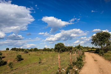 Passeio na primavera © lbrain