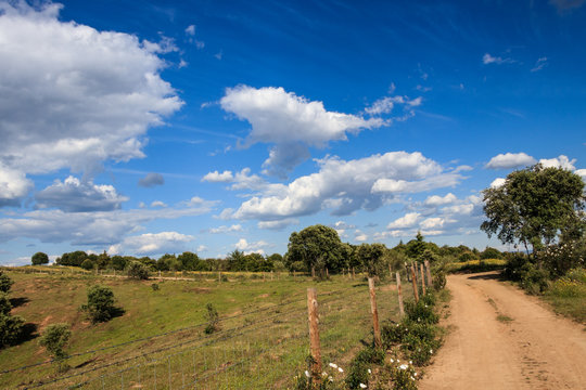 Passeio na primavera