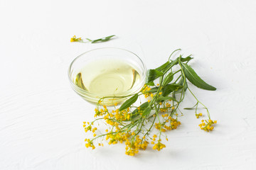 Sprigs of winter cress with a bowl of vegetable oil on a white background.