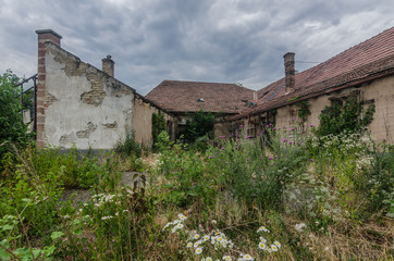 verwachsener garten in einem haus