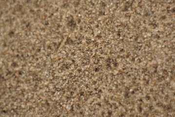 Sand Texture Gradually Blurred