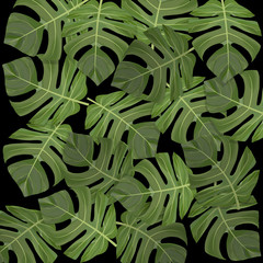 Tropical green leaves background texture,Vector illustration