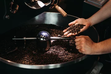 Foto op Aluminium Hands of a men holding a fresh roasted bean above a metal drum full of coffee beans © Artem Varnitsin