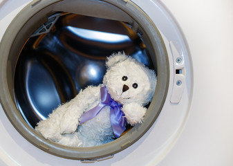 White teddy bear lies in the washing machine