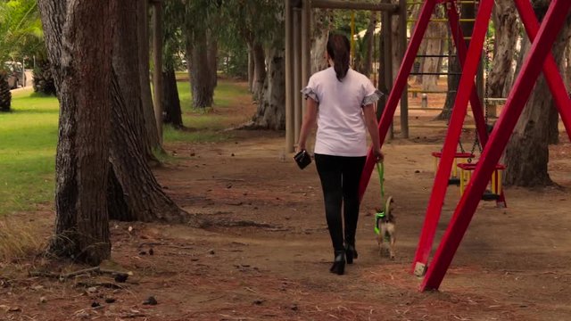 Giovane ragazza cammina con cane in parco. Altalene sulla destra