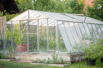 glass green house 