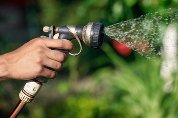 Watering garden flowers with hose