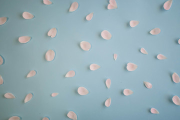White petals on the cyan background