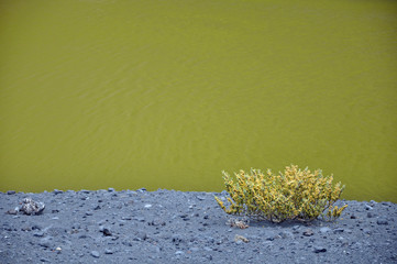 Lanzarote, grüne Lagune von El Golfo