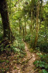 Cameron Highlands Gunung Jasar trekking