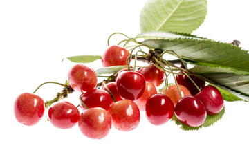 fresh red cherries on a white background