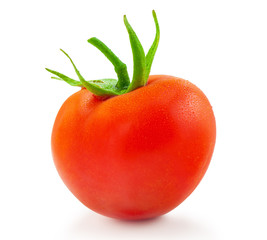 Fresh tomato isolated on white background