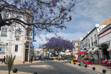 Fototapeta na wymiar Tourist downtown area of Faro city