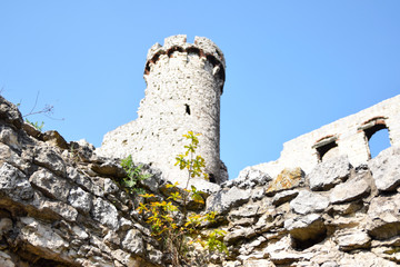 Wieża zamkowa. Ruiny średniowiecznego zameku. © shake_pl