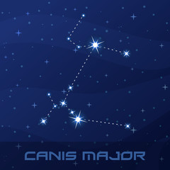 Constellation Canis Major, Great Dog, night star sky